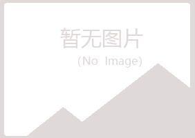 龙山区夏日咨询有限公司